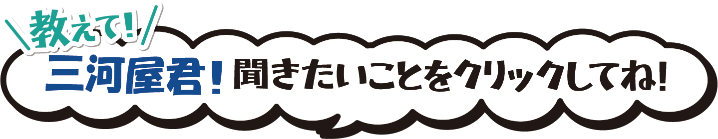 教えて三河屋君